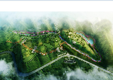 汪家寨三线老茶园核心示范区项目