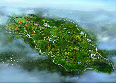 贵州贡芽云上茶溪谷养心旅游示范园项目总体规划
