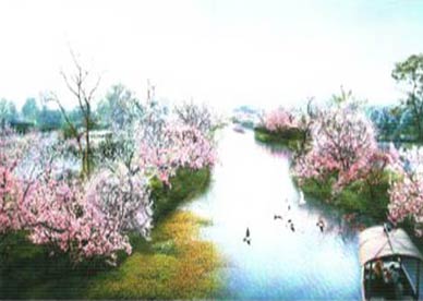 星海湖湿地生态规划与景观设计